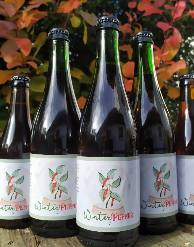 Cardinal Bière de Noël 6x33cl